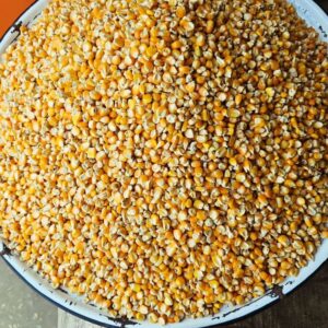 Dry Maize